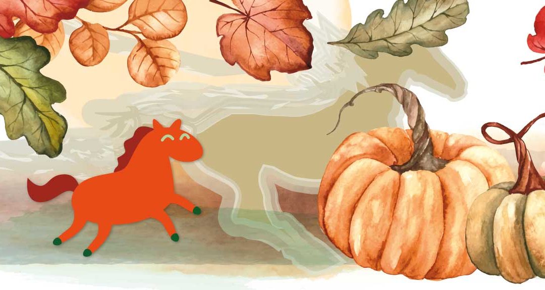 Stages automne 2026