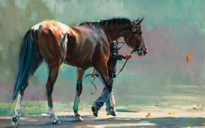 Stages février 2026